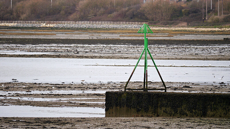 Sewage outflow at Budds Farm